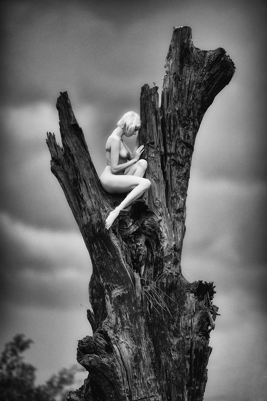 Erik goes walkabout.photo preview