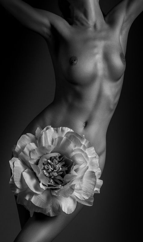 nude, fineartnude, bw, torso, blossom, woman, naked Blossomphoto preview