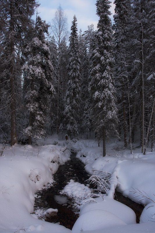 *******photo preview