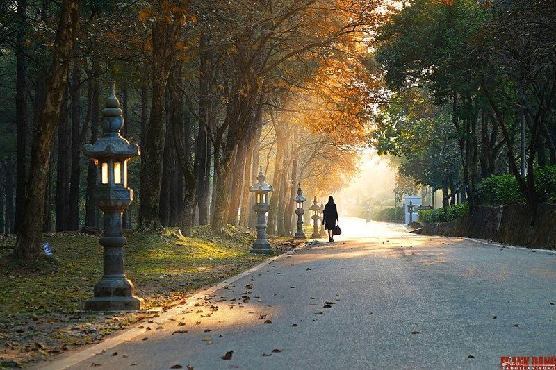 Dang Tuan Trung, Tuan Trung, Frank Dang The Winterphoto preview