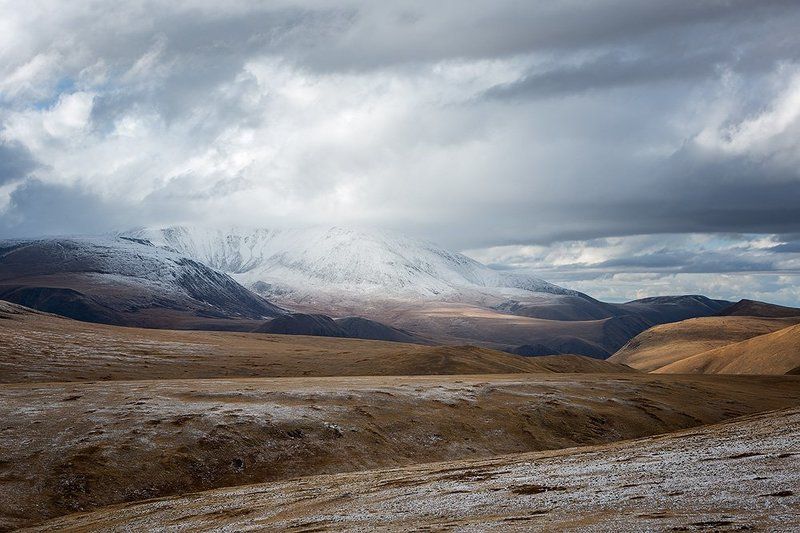 В урочище Баян-Чаган.photo preview