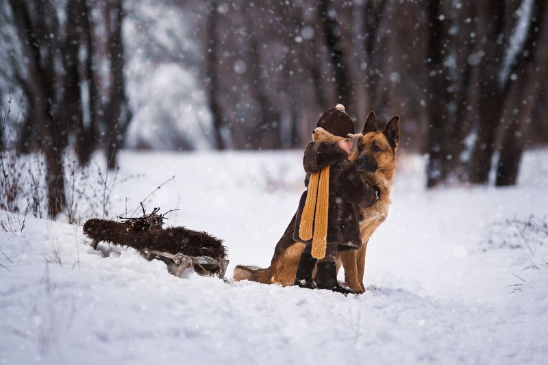 В лес за хворостомphoto preview