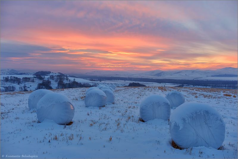 алтай, закат, вечер, зима, стерня Снежки для Великанаphoto preview