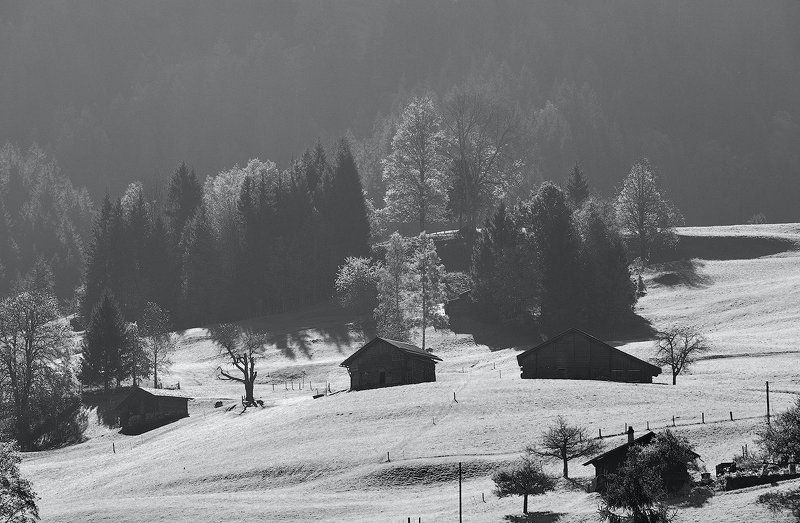 grindelwald. photo preview