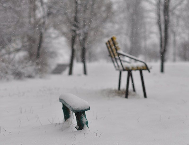 Зима, Снег, Туман Философия зимы...photo preview