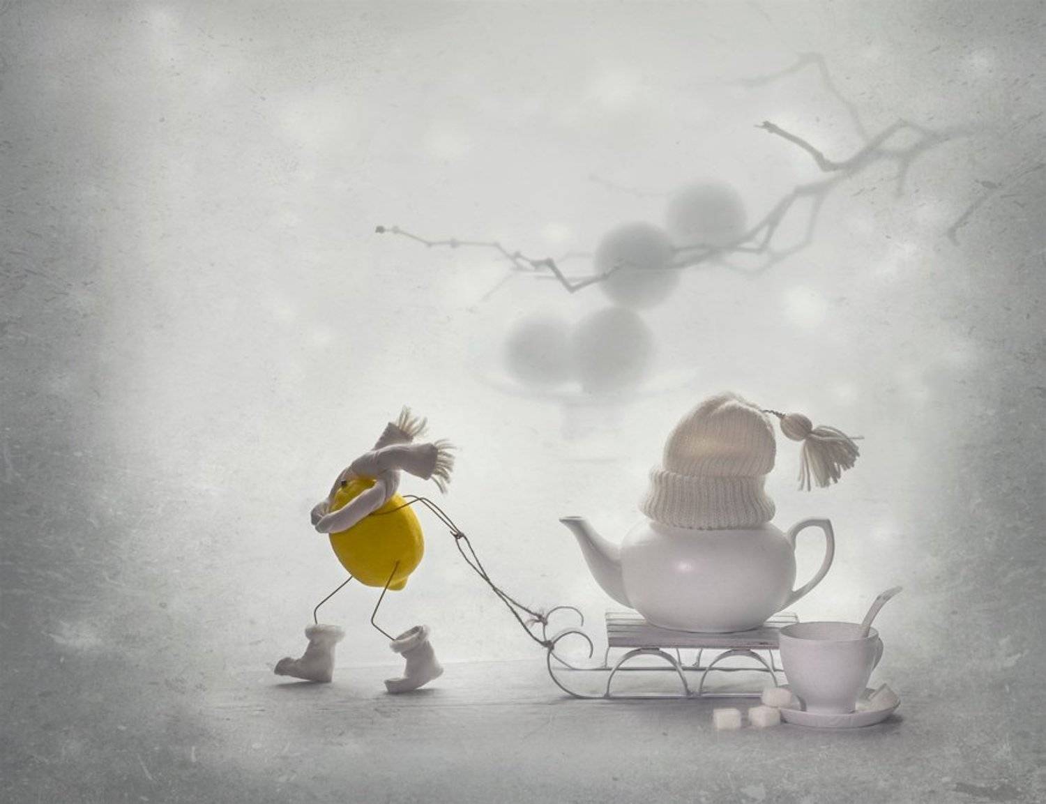 натюрморт, настроение, зима, лимон, улыбка, Вероника Бабенко