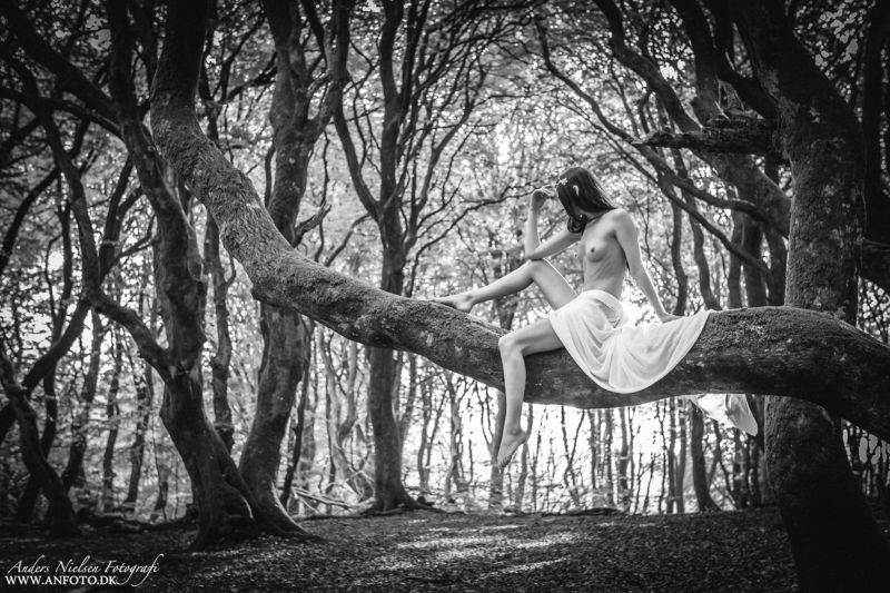 Meditatingphoto preview