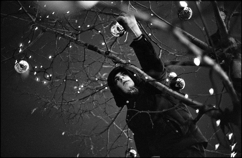 life ***photo preview