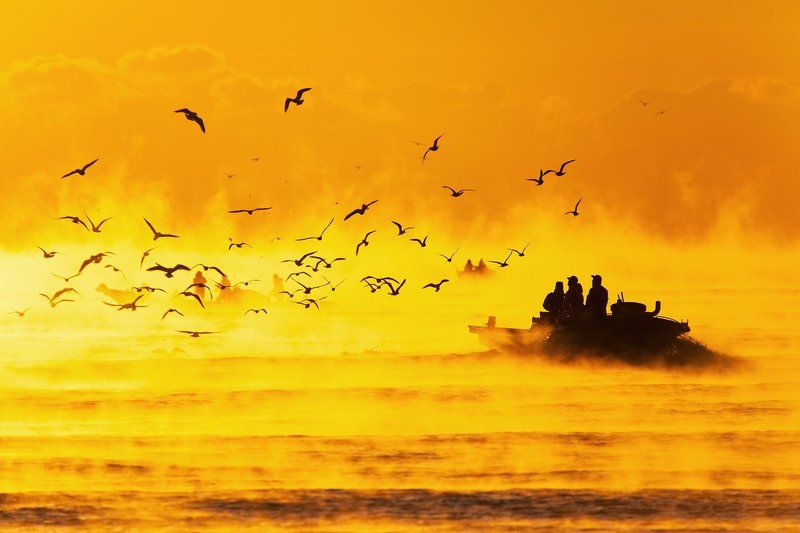 kangyang , korea Fishermanphoto preview