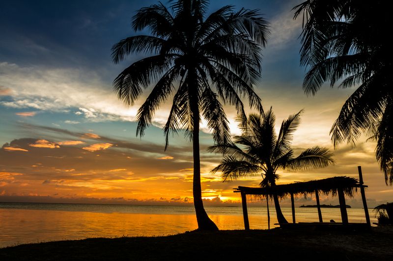 sunset, hawaiian, tree, palm, sea, hawaii, beach, water, vacation sunset, bahamas, tropical background, sunlight, bora bora, tropical sunset, sunset palms, island, coast, sunset palm trees, tropical, sunset sky, orange, summer, sunset beach, sun, sunset  Golden tropical sunset photo preview