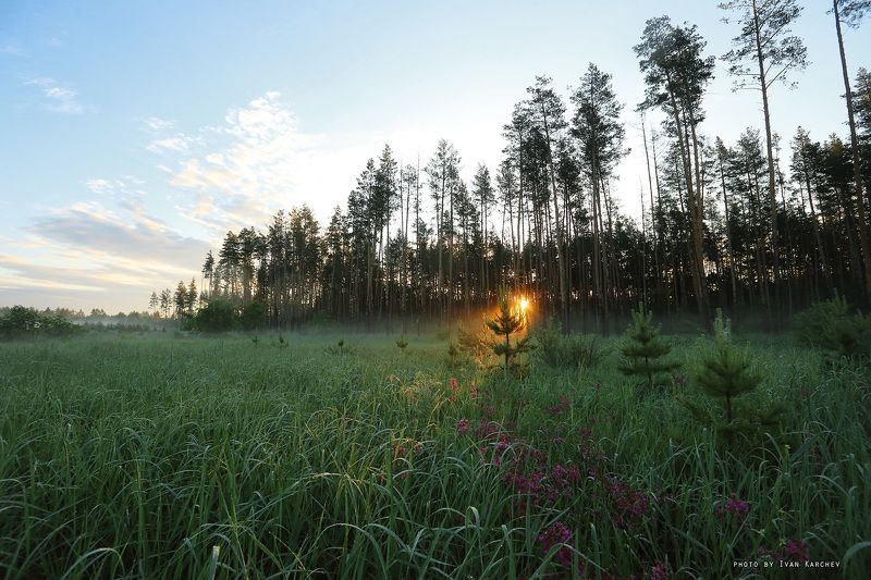 the first rayphoto preview