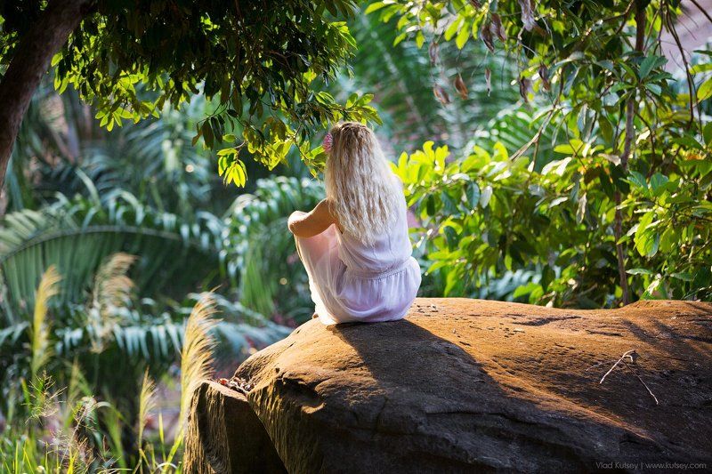 jungle, jungles, cambodia, cambodian, female, girl, rock, sunrise, rays, travel ,adventure, trees, asia, asian Morning raysphoto preview