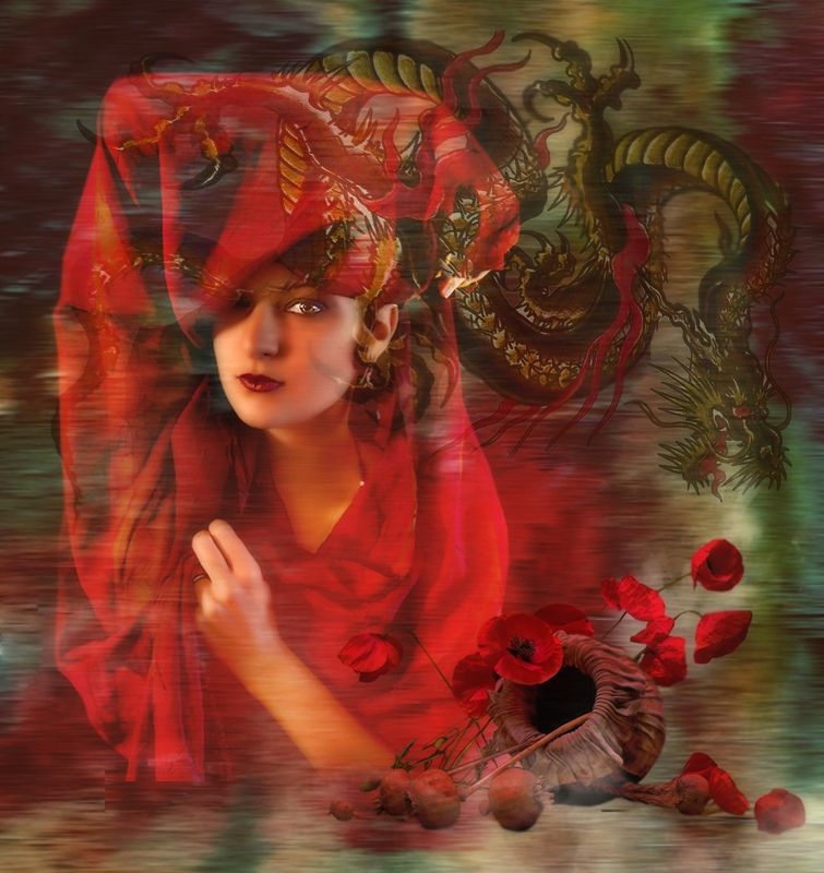 девушка в красном,маки,дракон Temptationphoto preview