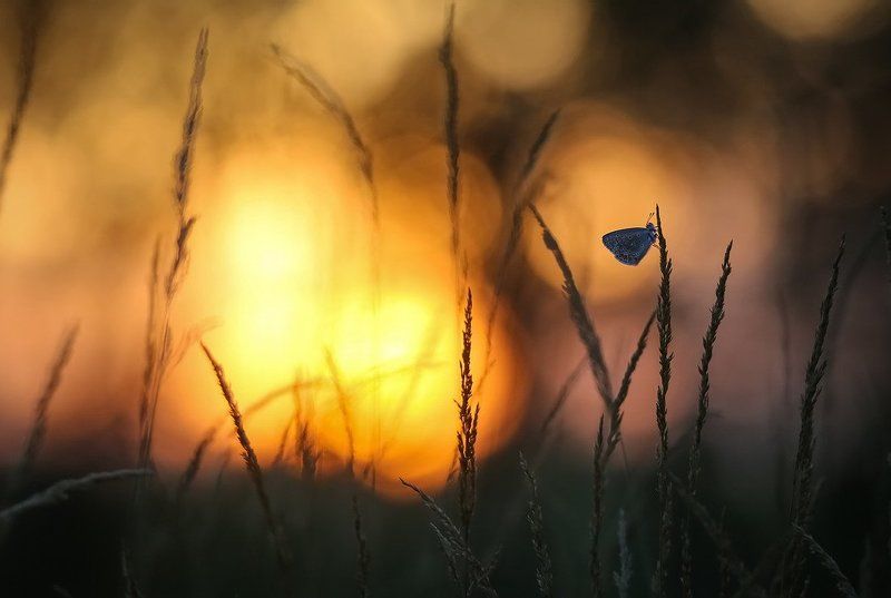 Затихаетphoto preview