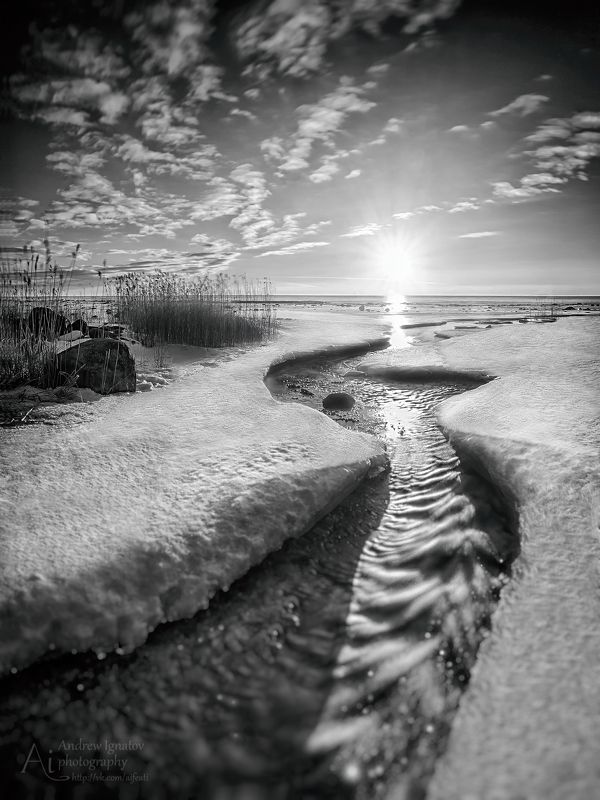 чудское B&W Lake Peipsiphoto preview