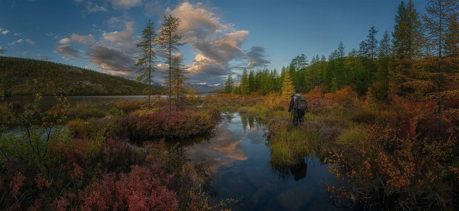 * * *. Автор: Дмитрий Титов , Дмитрий Титов