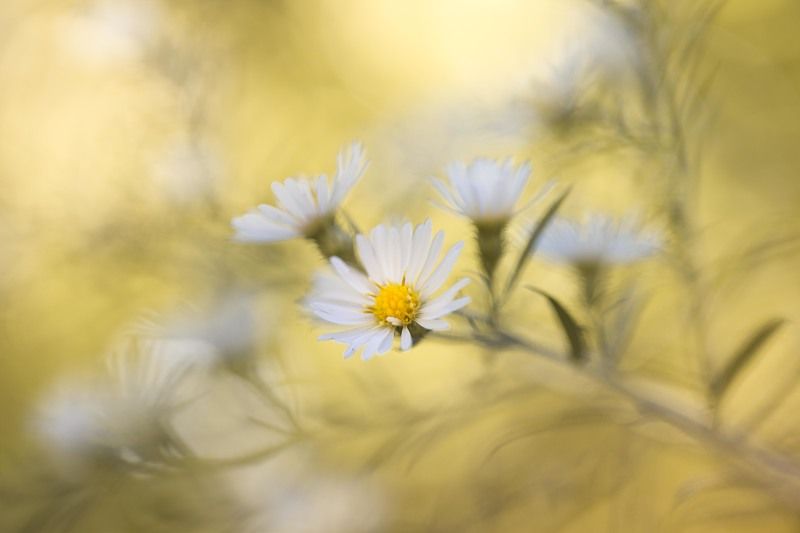 Чуточку летаphoto preview