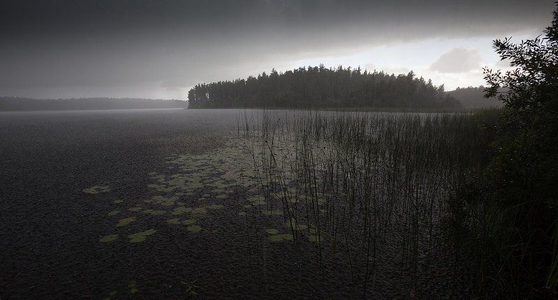 ливень, озеро, лето, свежесть, благодать Свежестьphoto preview