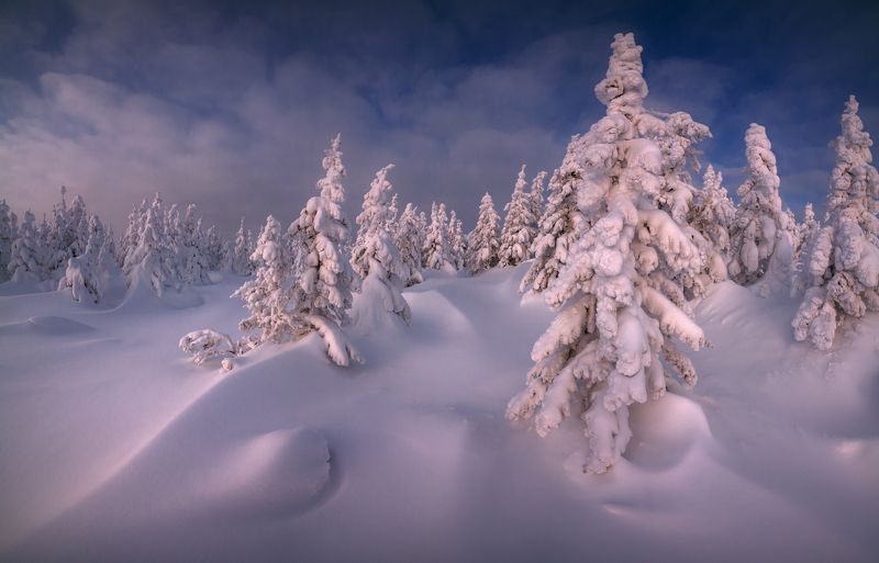 Кудесница зимаphoto preview