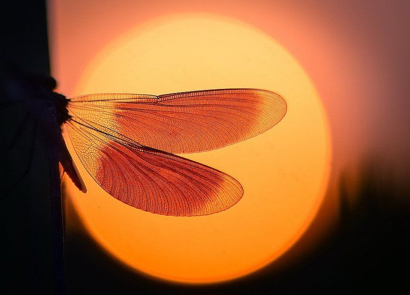 Закат. День солнечный затих.photo preview