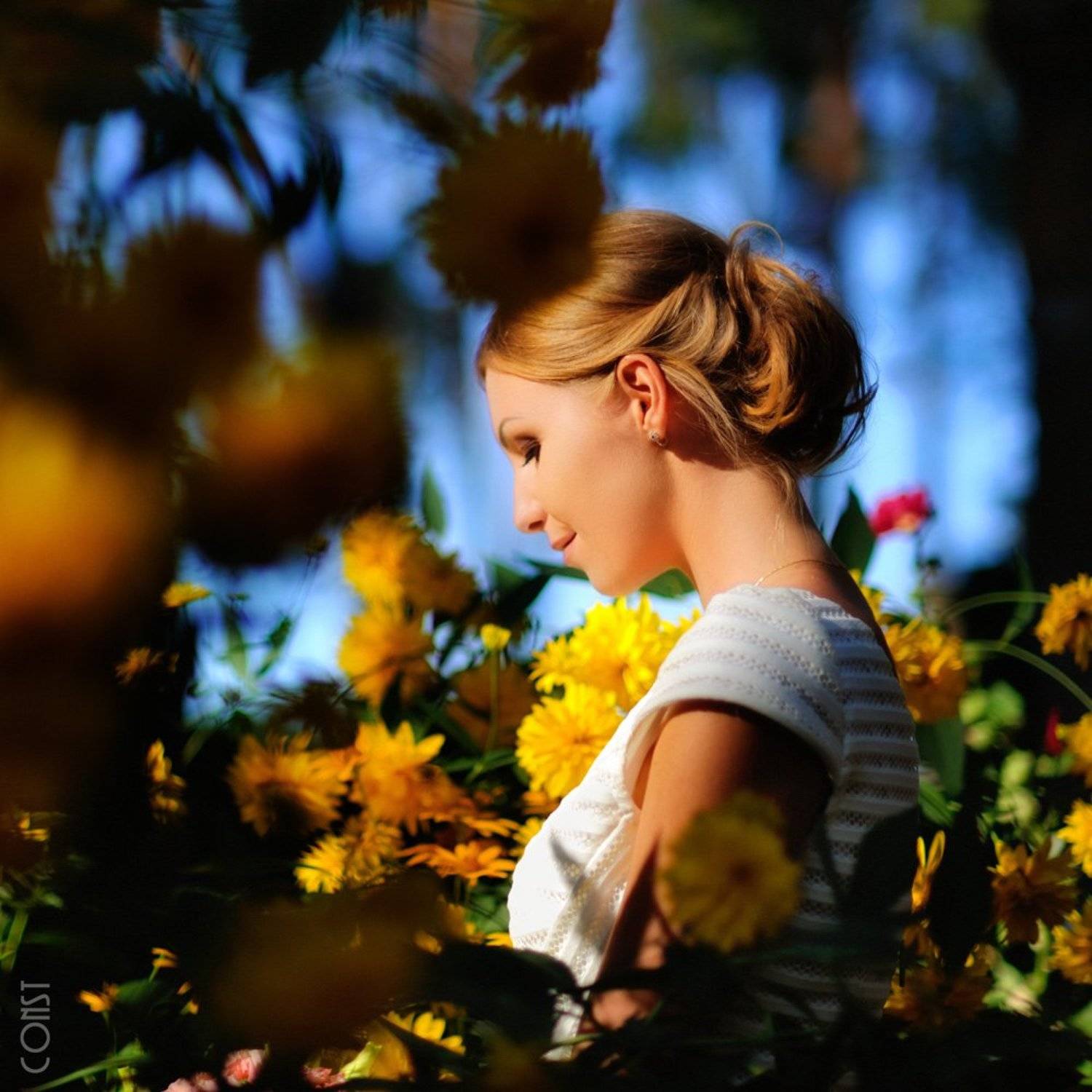 константин скоморох konstantin skomorokh, Константин Скоморох