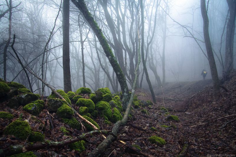 Старой дорогойphoto preview