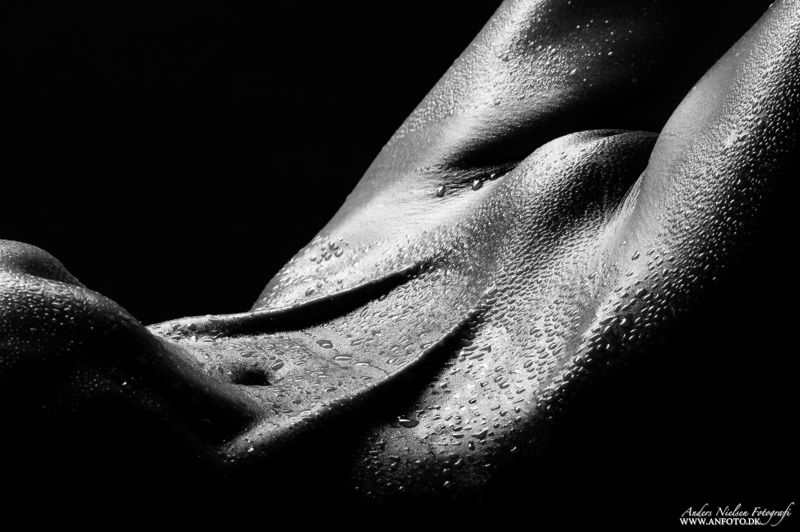 Musculusphoto preview