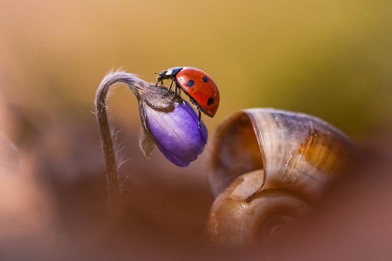 Скоро веснаphoto preview