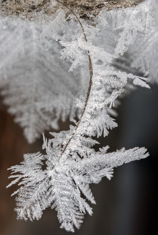 Зимние мотивыphoto preview