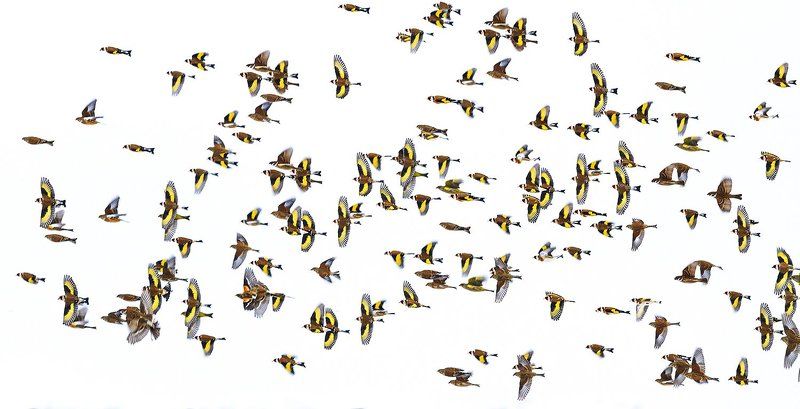 Ураганphoto preview