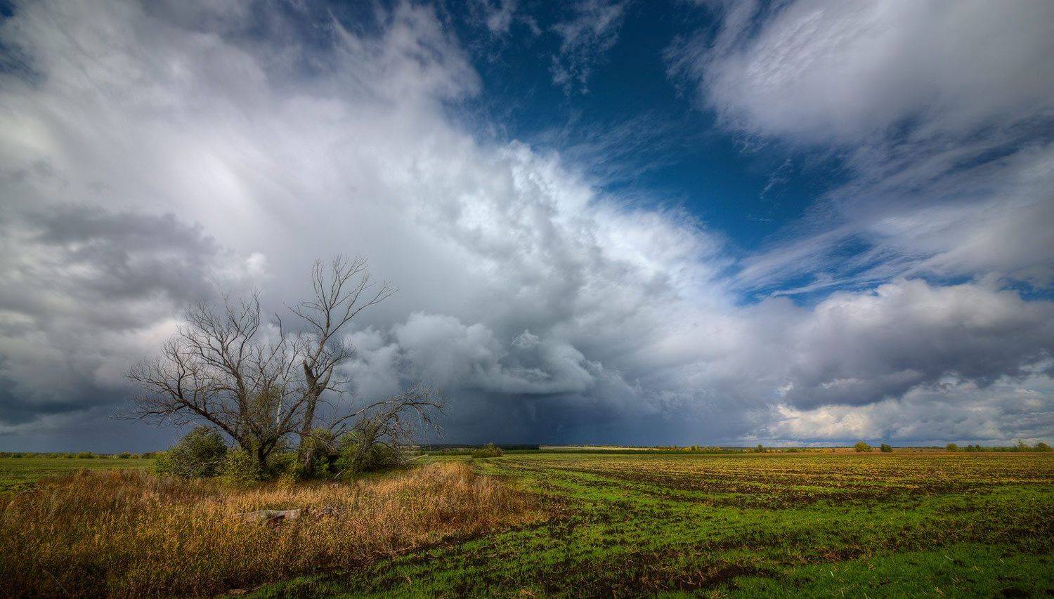 Автор: Аркадий Саямов , Аркадий Саямов