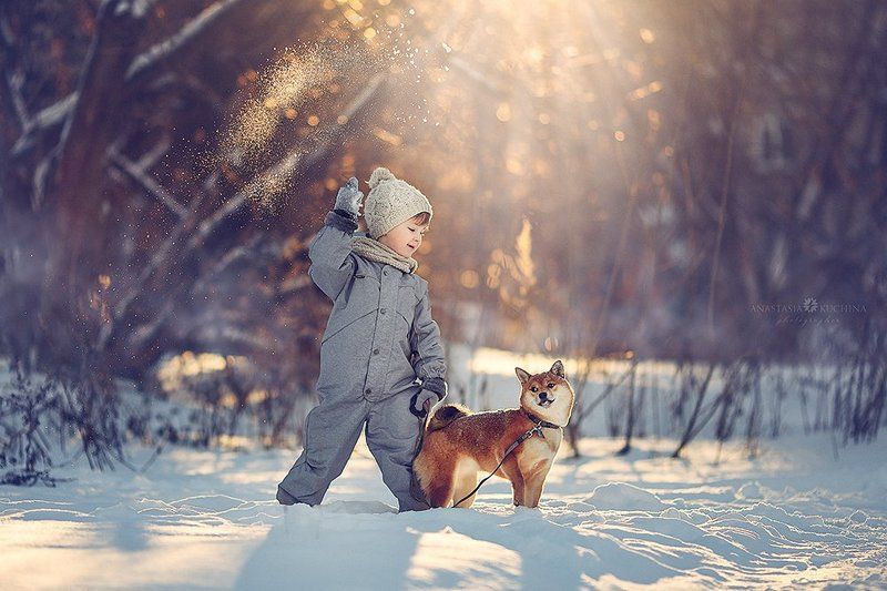 Два другаphoto preview