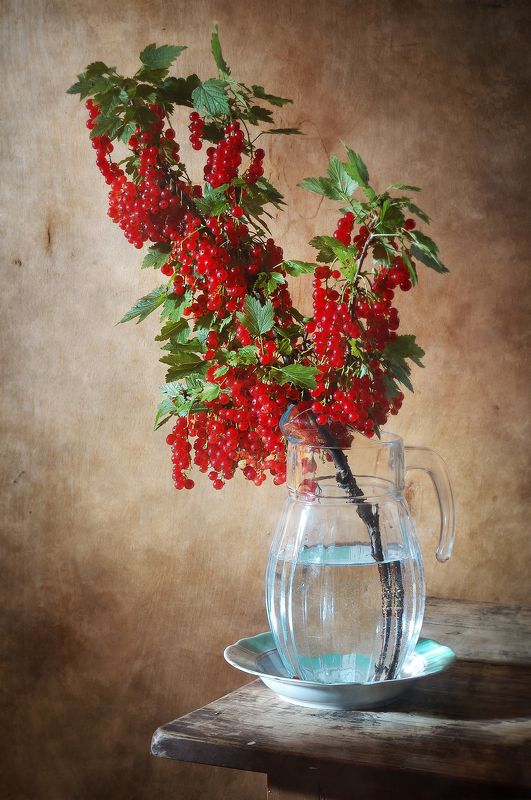 Классический, натюрморт, большой, ветка, красный, смородина, свежиий, ярко-красный, ягододы, стеклянный, кувшин, коричневый, летний, дом Красная смородинаphoto preview