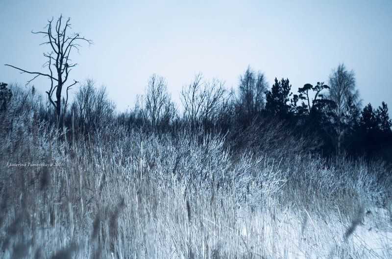 Witer`s storyphoto preview