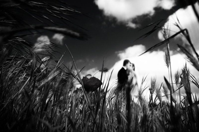 Kiss me hard before you go...photo preview