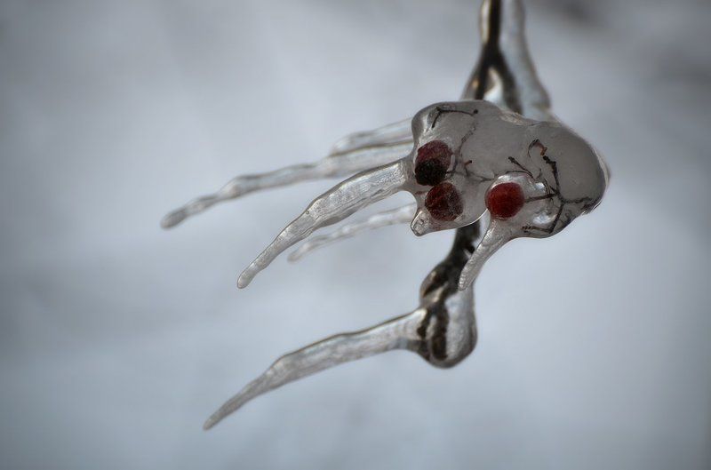 Страаашно?photo preview