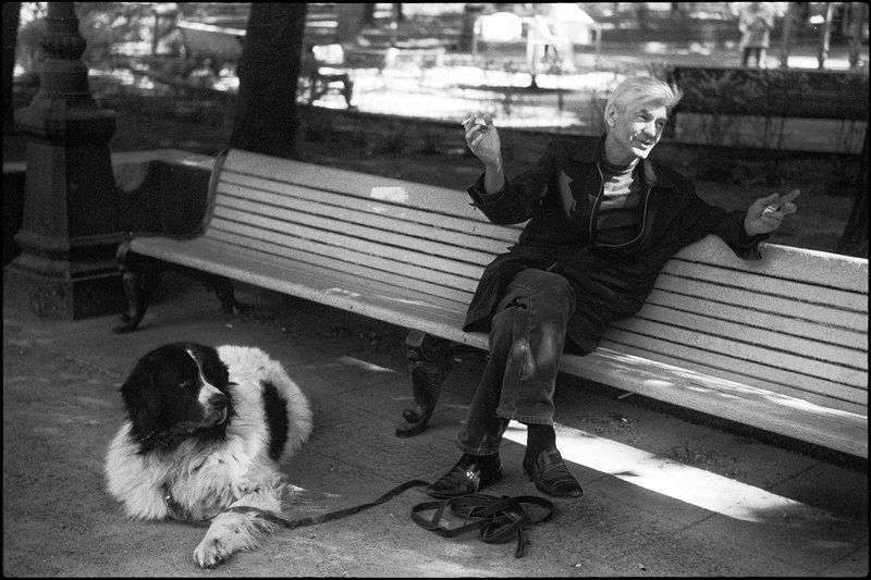 life ***photo preview