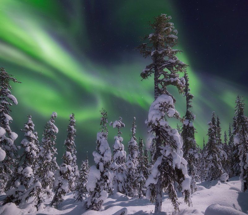 Aurora Borealis, Кольский полуостров, Северное сияние Aurora Borealisphoto preview