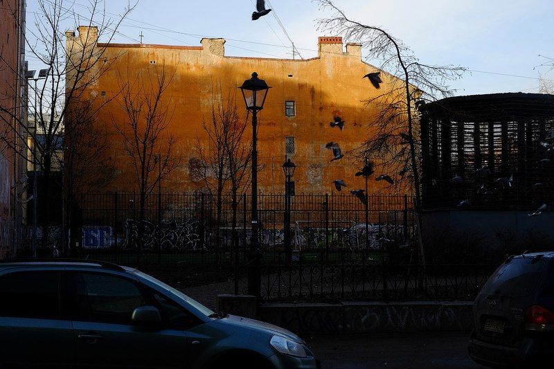 Утро в Петербургеphoto preview