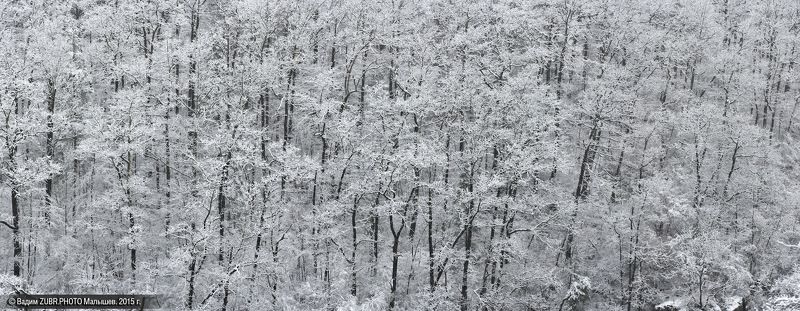 Мозаикаphoto preview