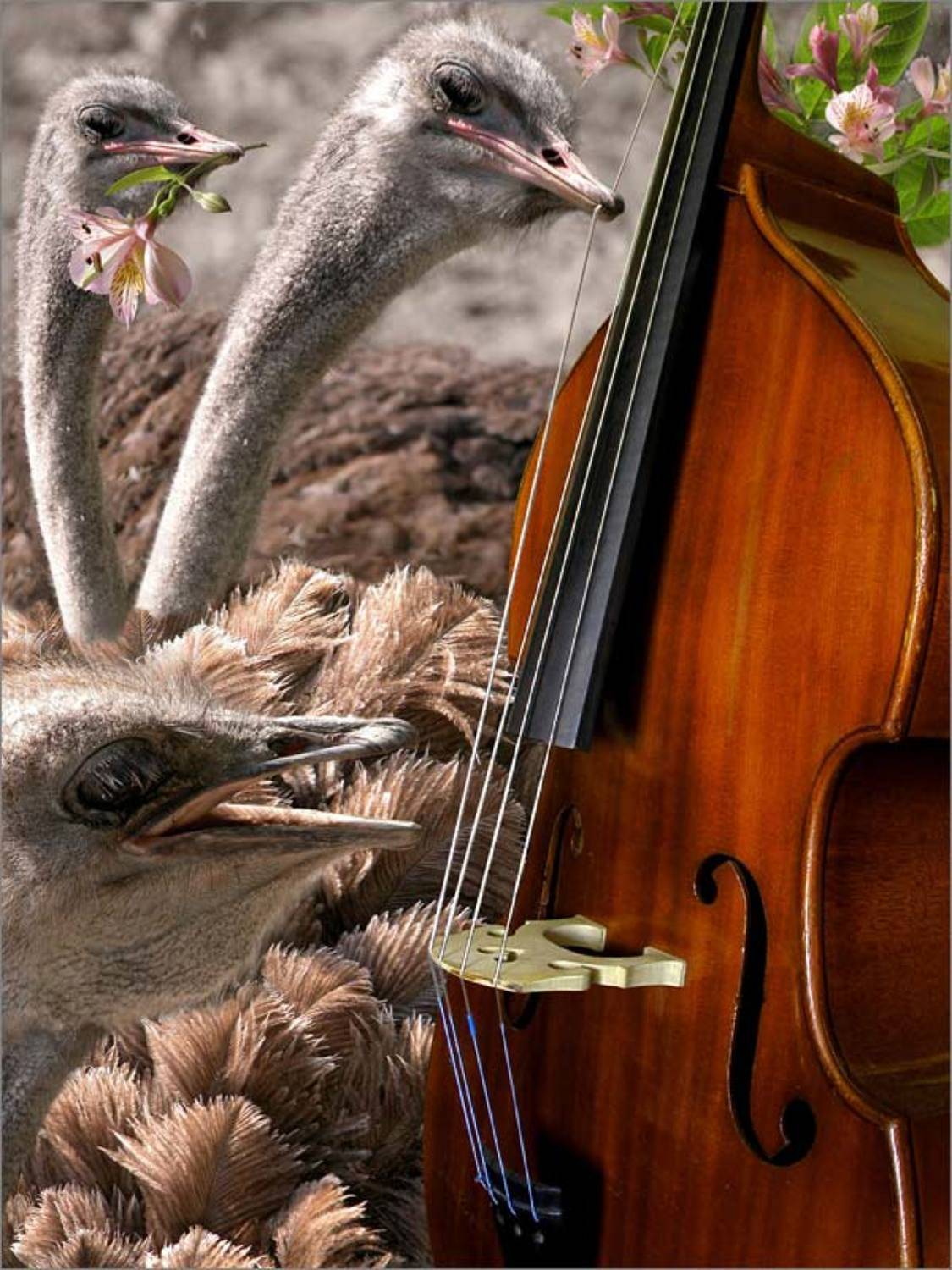 , Valentin Sichinskiy