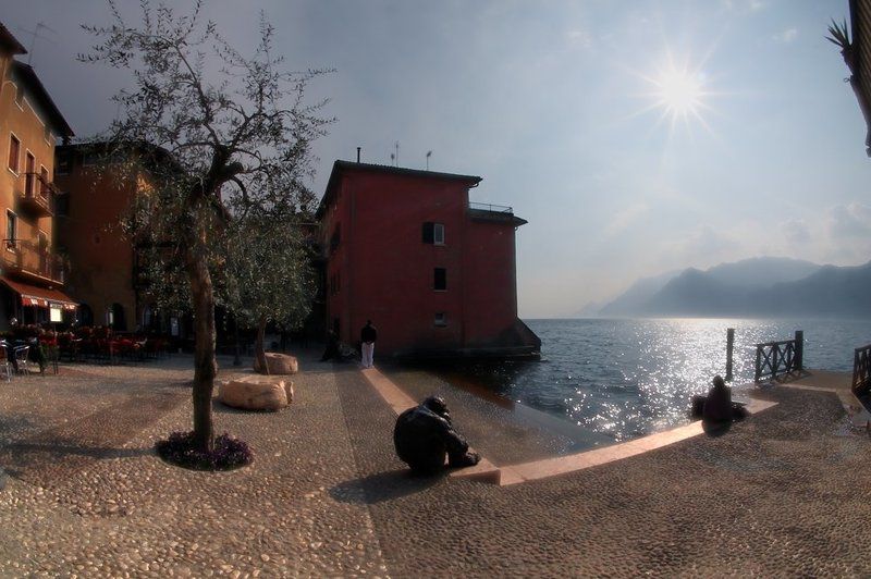 lago di garda, италия, озеро пристань, солнце, один, два, дерево У озера фото превью