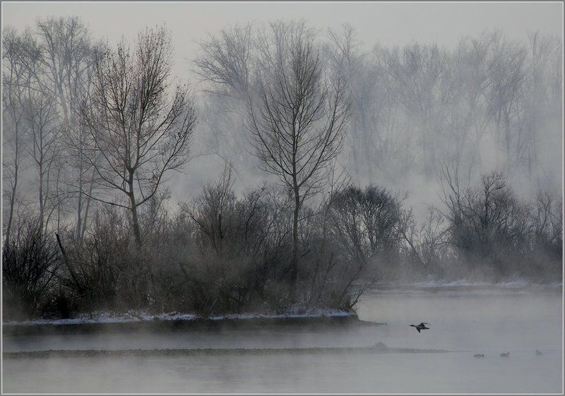 иртыш,зима, утки Утиный островphoto preview