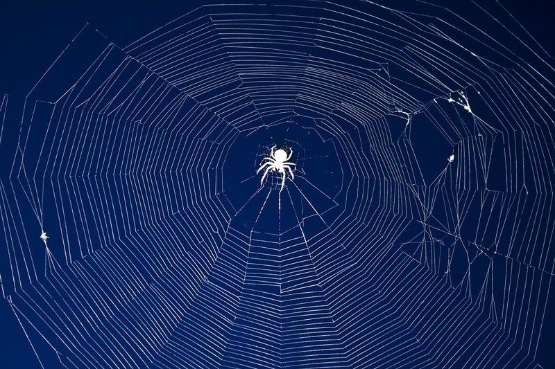 лето, июнь, пенза Spiderphoto preview