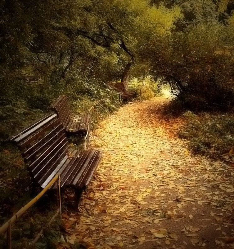 лето., осень Осень в середине лета.photo preview