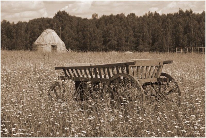 ромашки, телега, юрта Полюшко фото превью