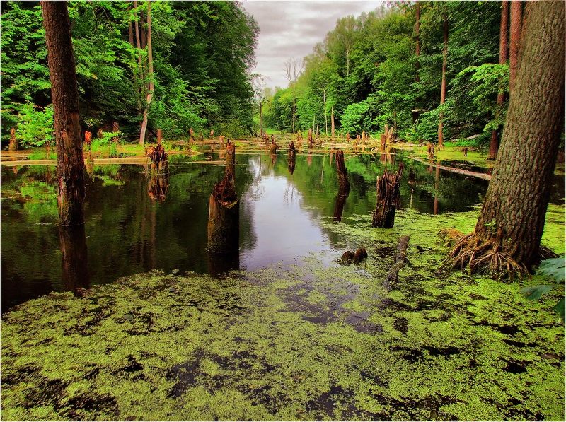 Парк юрского периодаphoto preview