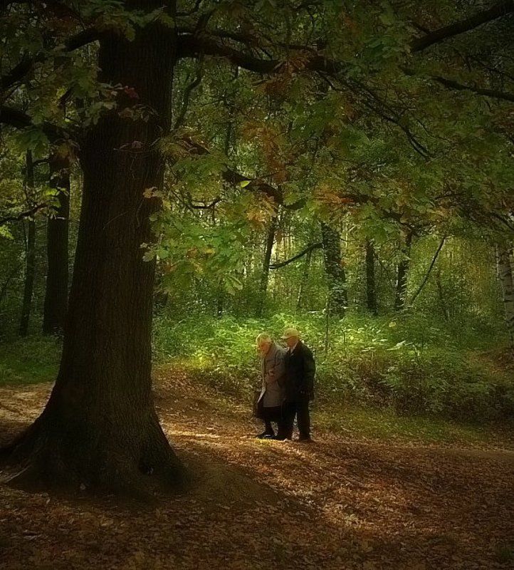 осень Двое и осень.photo preview