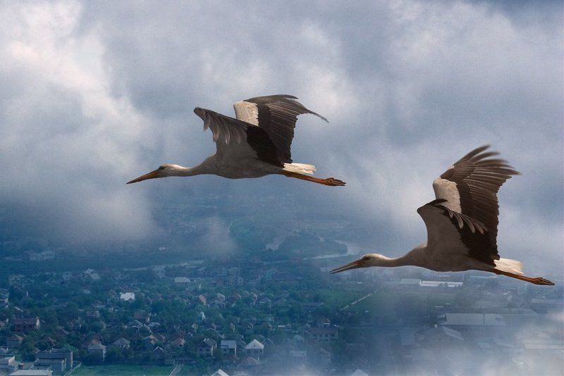 во сне и наяву.. фото превью