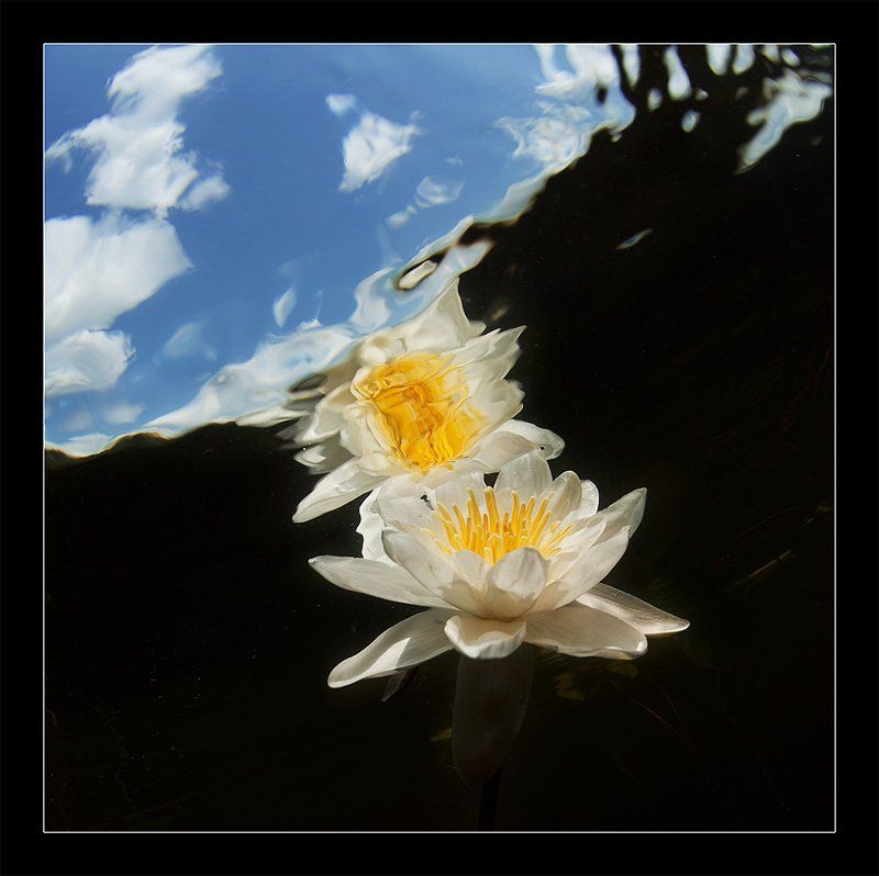 С другой стороныphoto preview